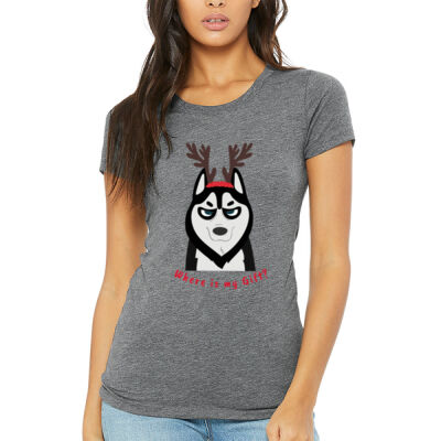 Avis funny Pedro dog Christmas -Women's Triblend Tee  Thumbnail